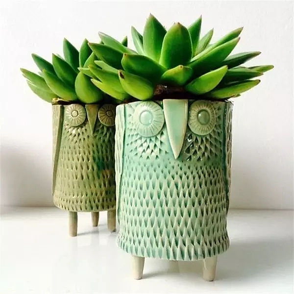 ceramics，Flowerpot，container，Home Furnishing，